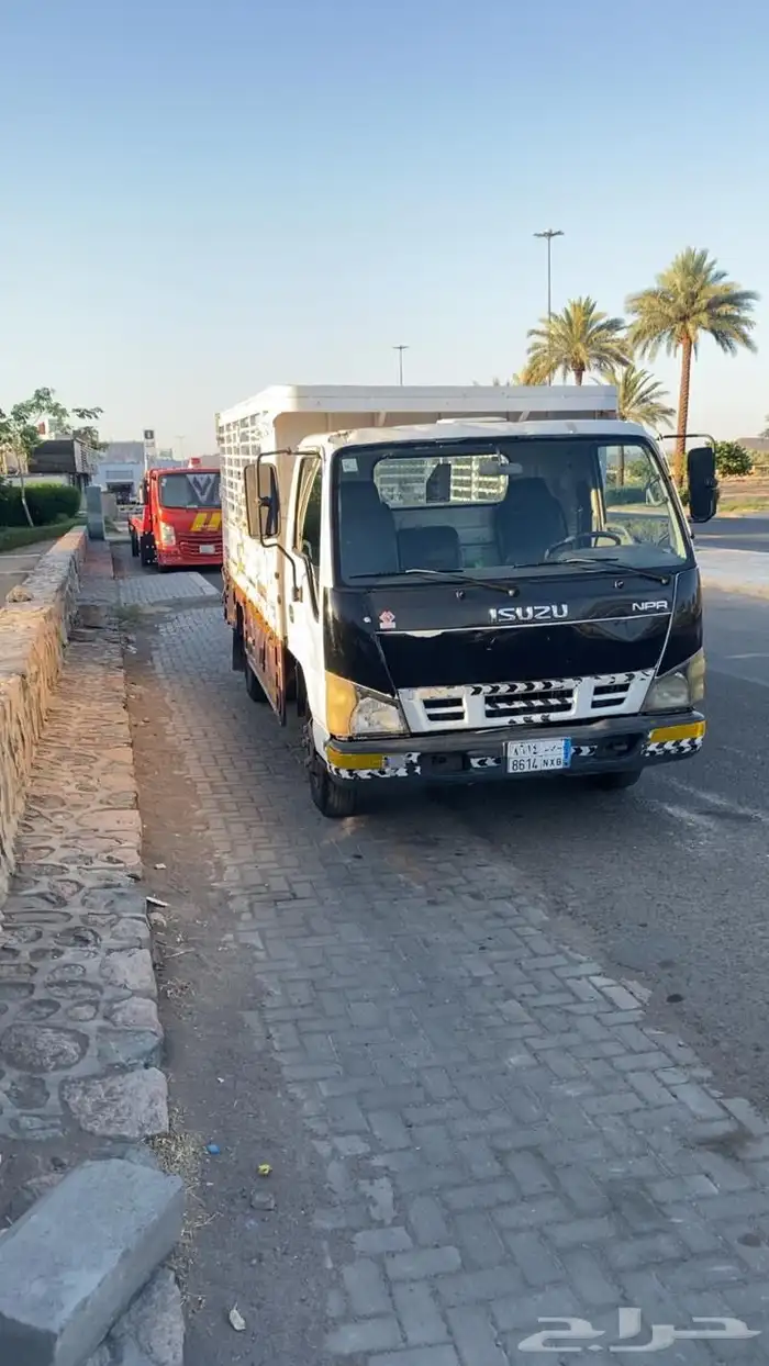 دينا ايسوزو للبيع 1