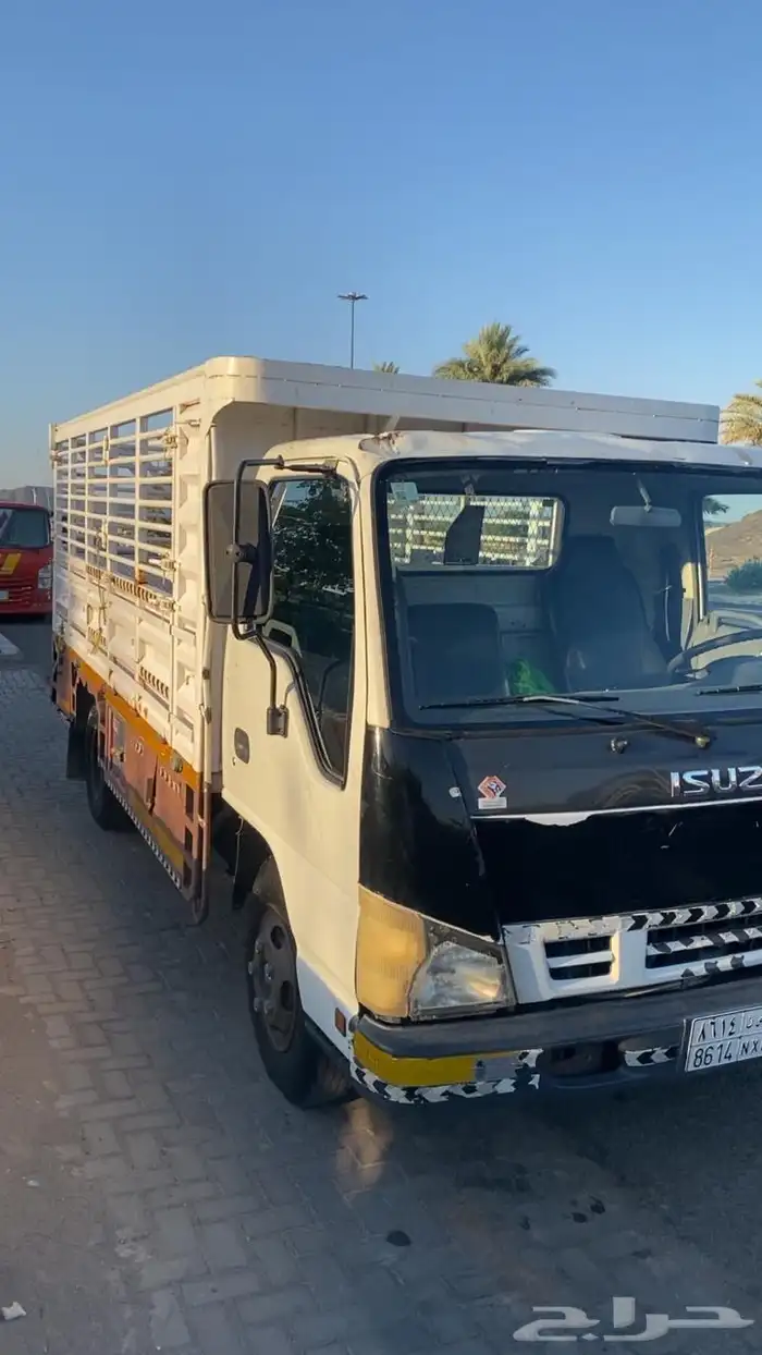 دينا ايسوزو للبيع 3