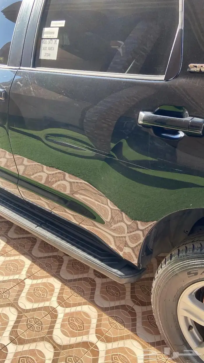 سكويا مديل 2013 10