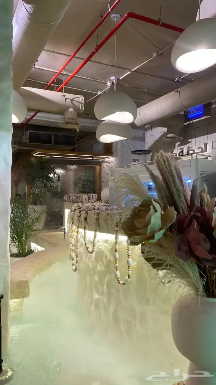 مصورة احتاج شغل تصوير محلات وحفلات براتب شهري 9