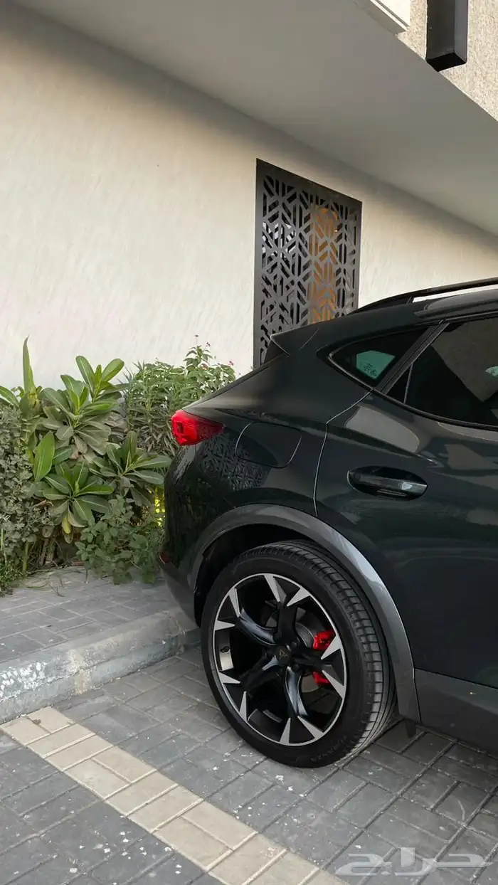 كوبرا فيرامانتور 2022 للبيع والتميز في قمه النظافه 3