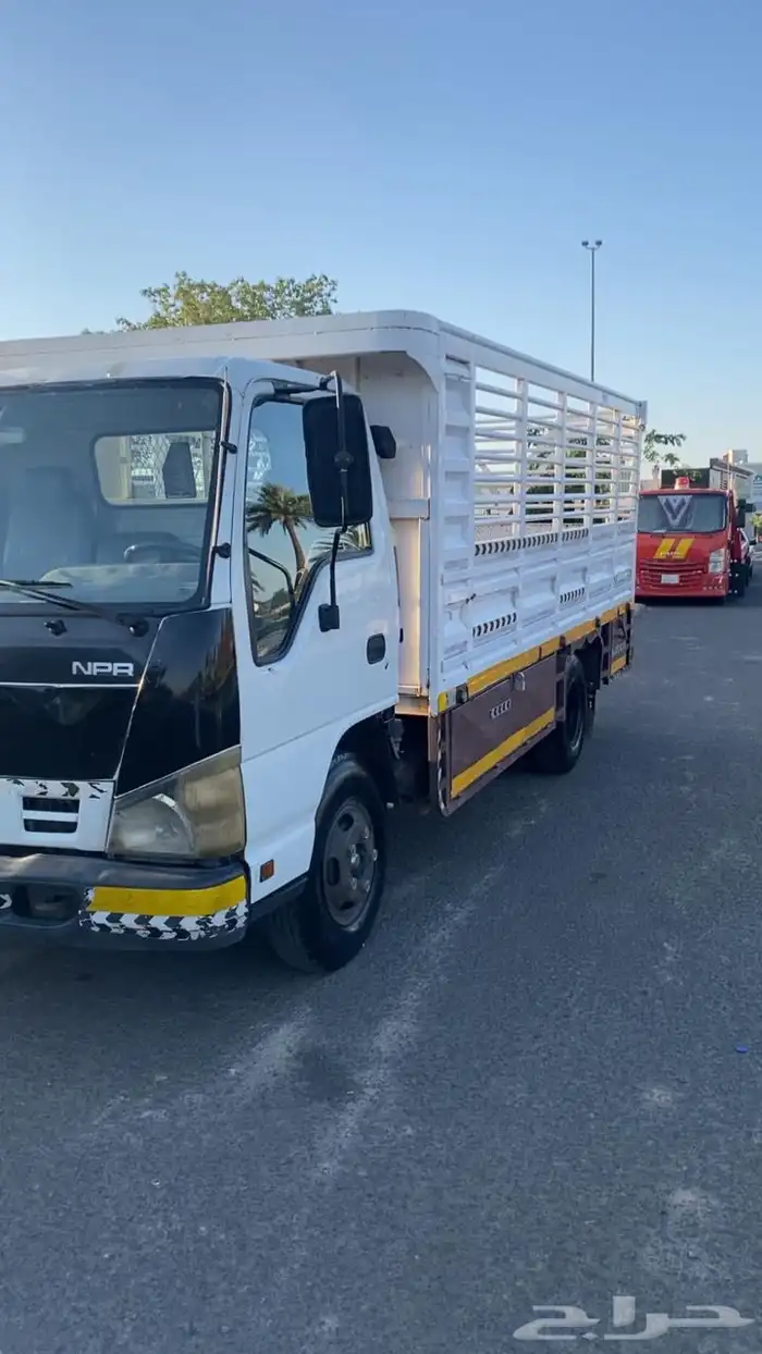 دينا ايسوزو للبيع 2