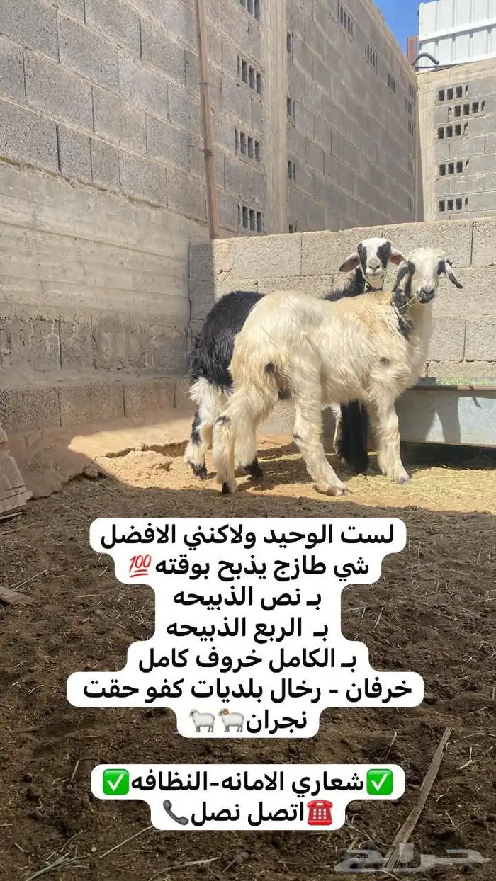 رخل بلديه نجران 0