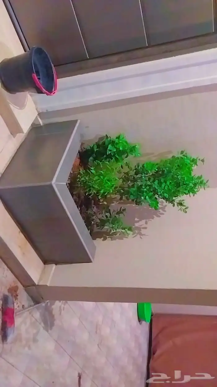 مشتل تنسيق حدايق 7