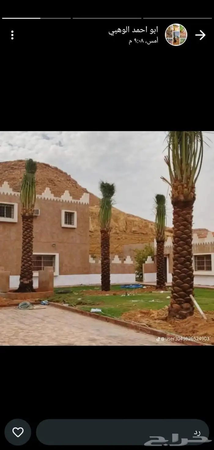 يوجد لدينا جميع انواع النخيل العربي والواشنطن بكل المقسات 0