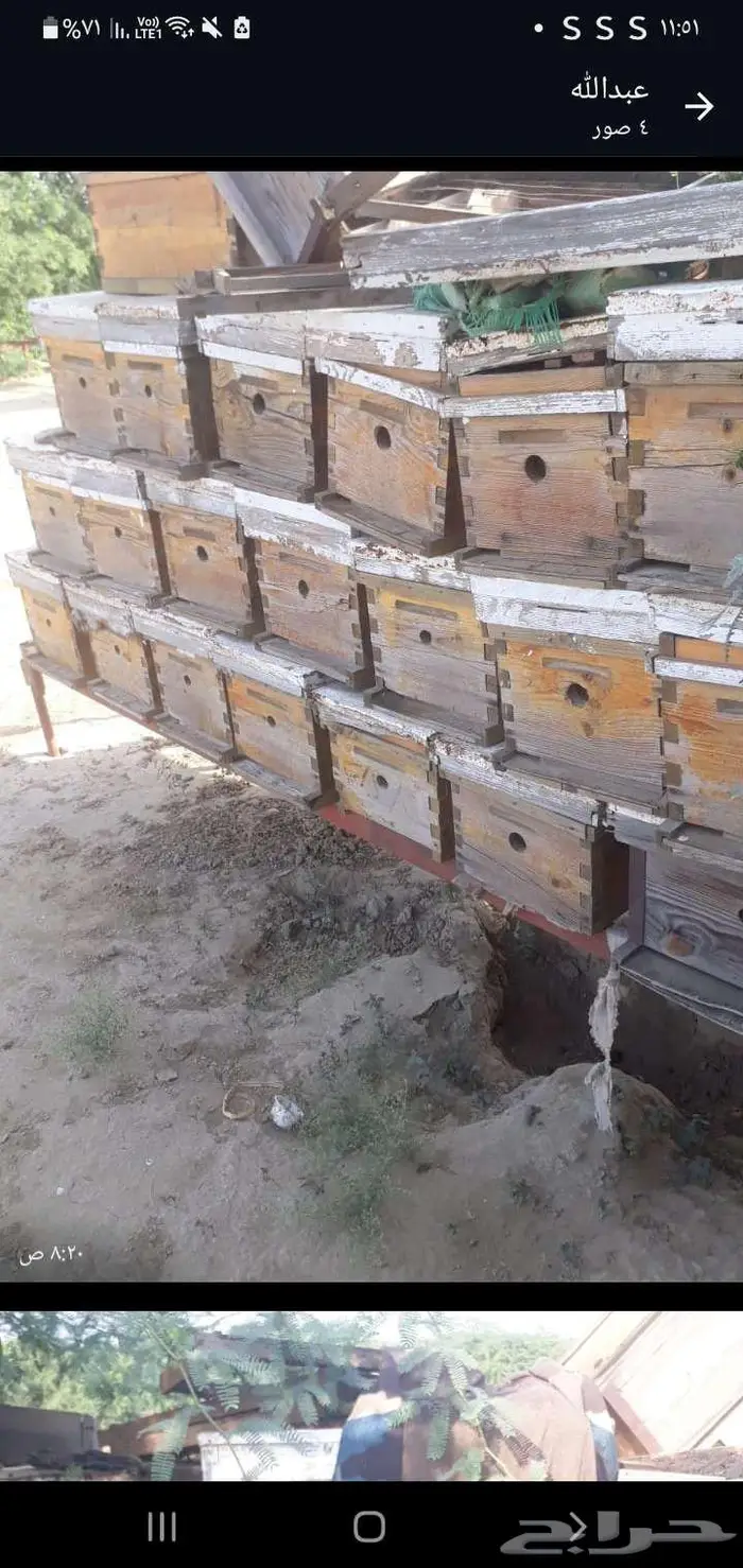 خلايا لي البيع 2