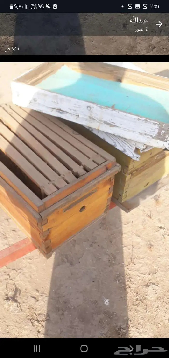 خلايا لي البيع 1