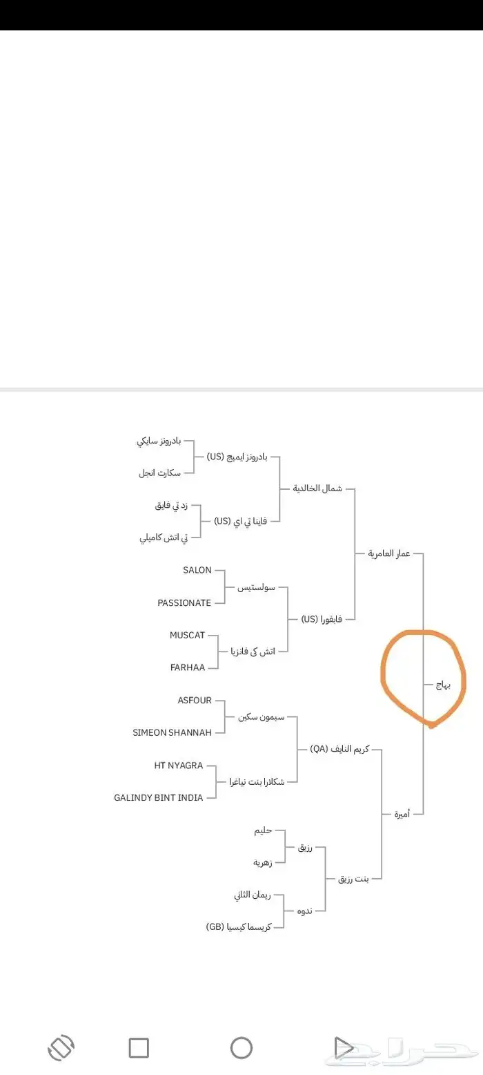 للبيع حصان واهو 2