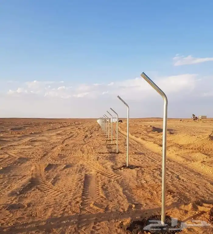 ابومحمد لتوريد جميع انواع النخيل المثمروتركيب الشبوك 050126 4