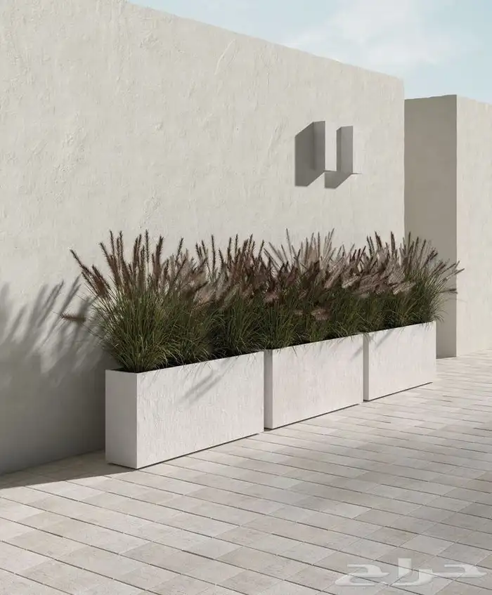 مؤسسة زهرة الخليج الزراعية -نجران -دحضة 3