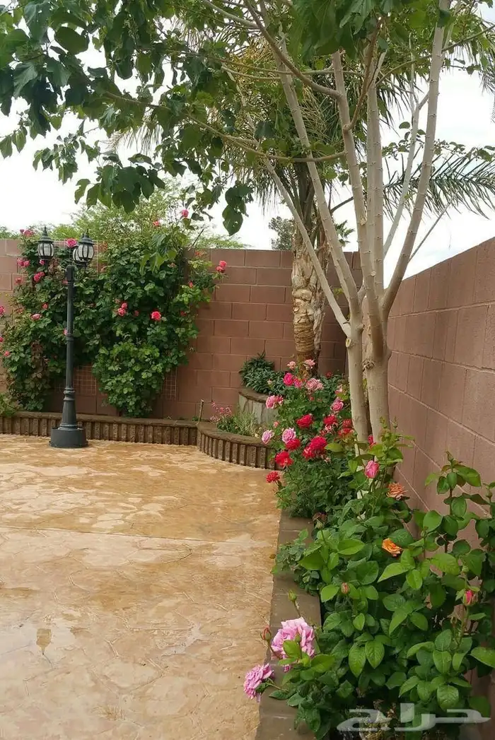 مهندس زراعي متخصص في تنسيق الحدائق وزراعة الأشجار والورد 1