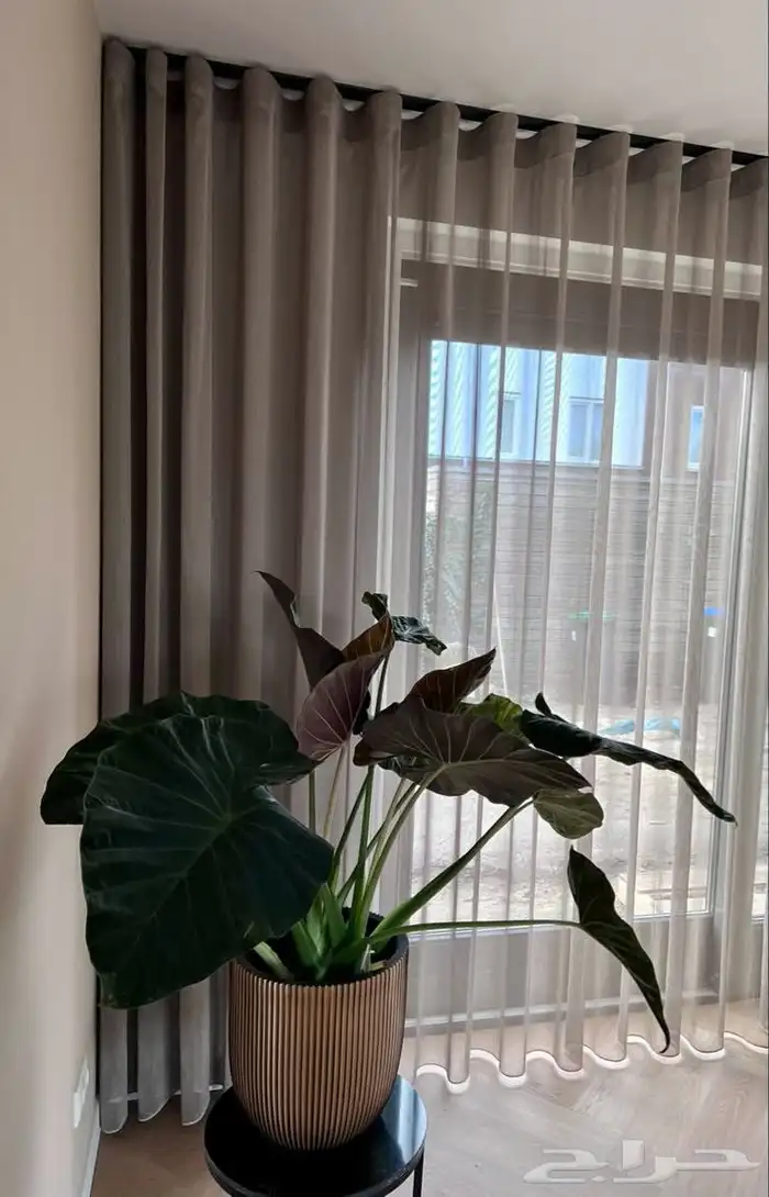 المتر 60ريال 0