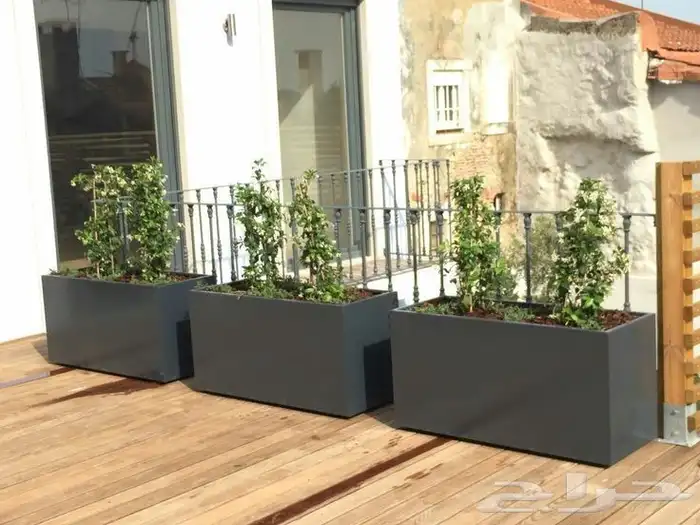 مؤسسة زهرة الخليج الزراعية -نجران -دحضة 6