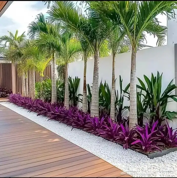 مهندس زراعي متخصص في تنسيق الحدائق وزراعة الأشجار والورد 4