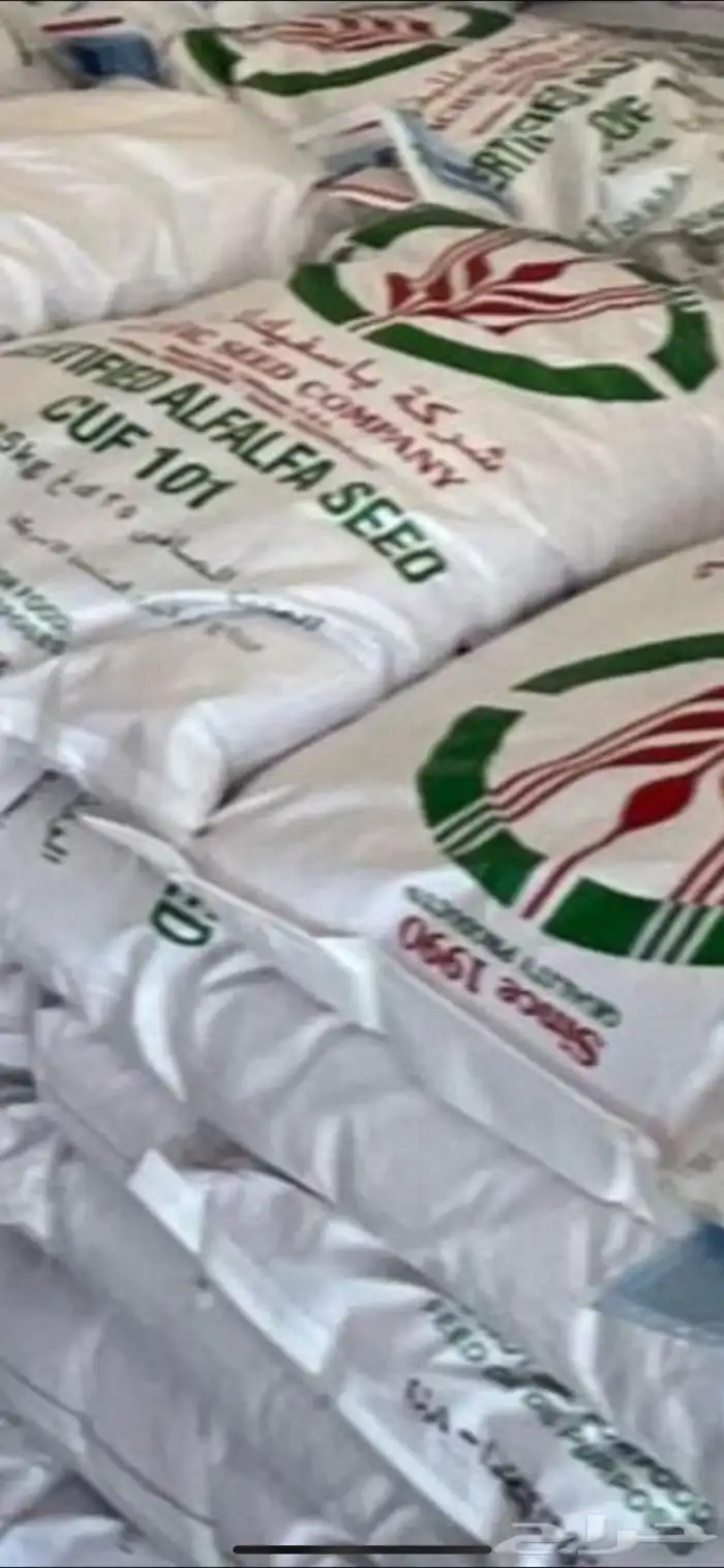 مدينة تبوك 0