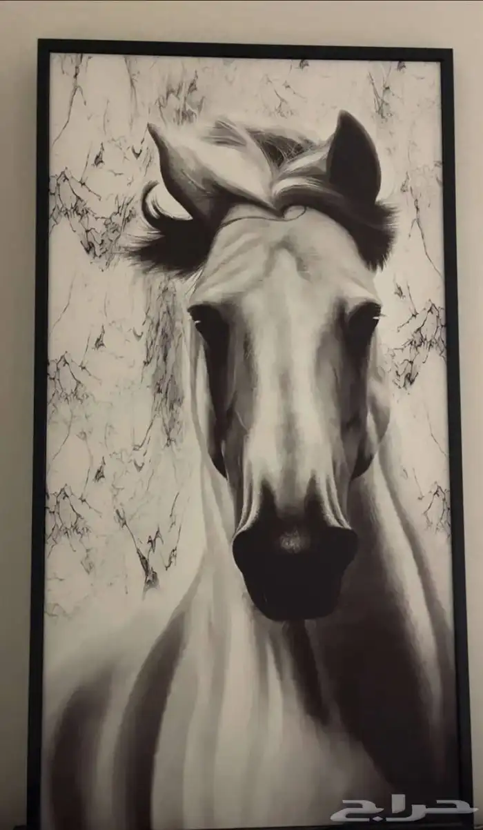 للوحه مدخل للبيع جديده 0