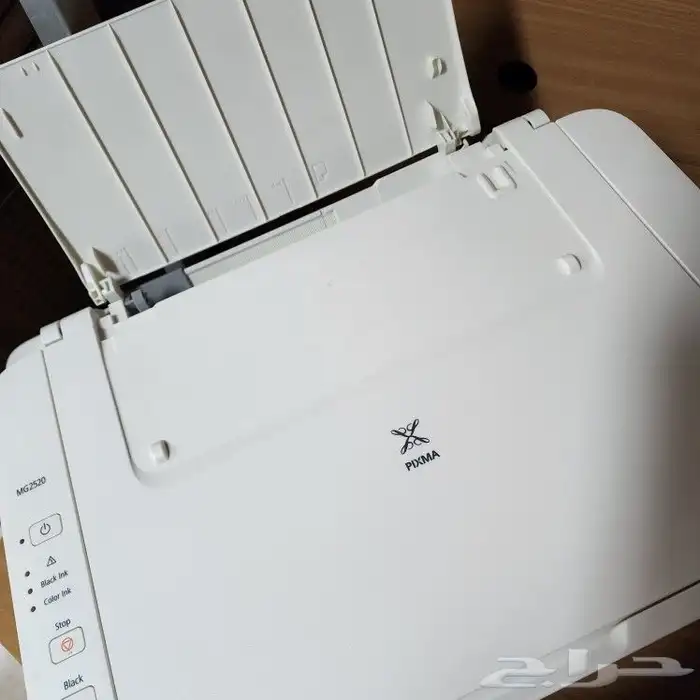 طابعة Canon PIXMA MG2520 1
