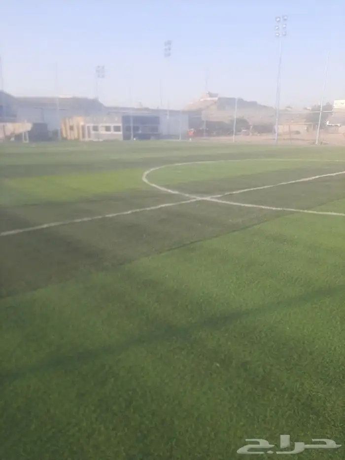 معلم العشب نجيله حدائق صناعي بيت استراحة أرضي تر يبات شعل مل 0