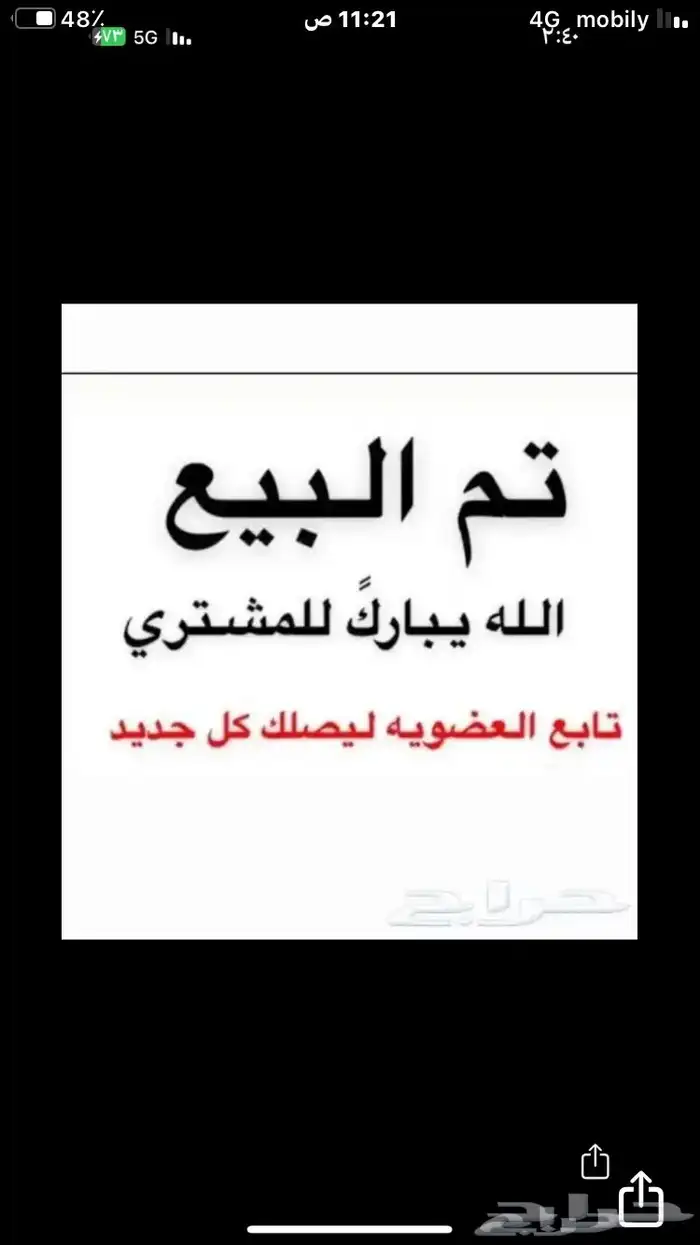 تيس قزمي وجفرتين 9