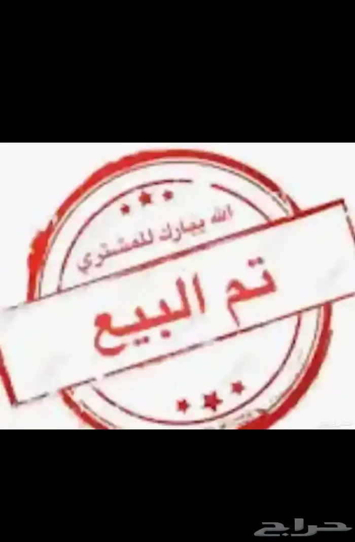تيوس للبيع. 3