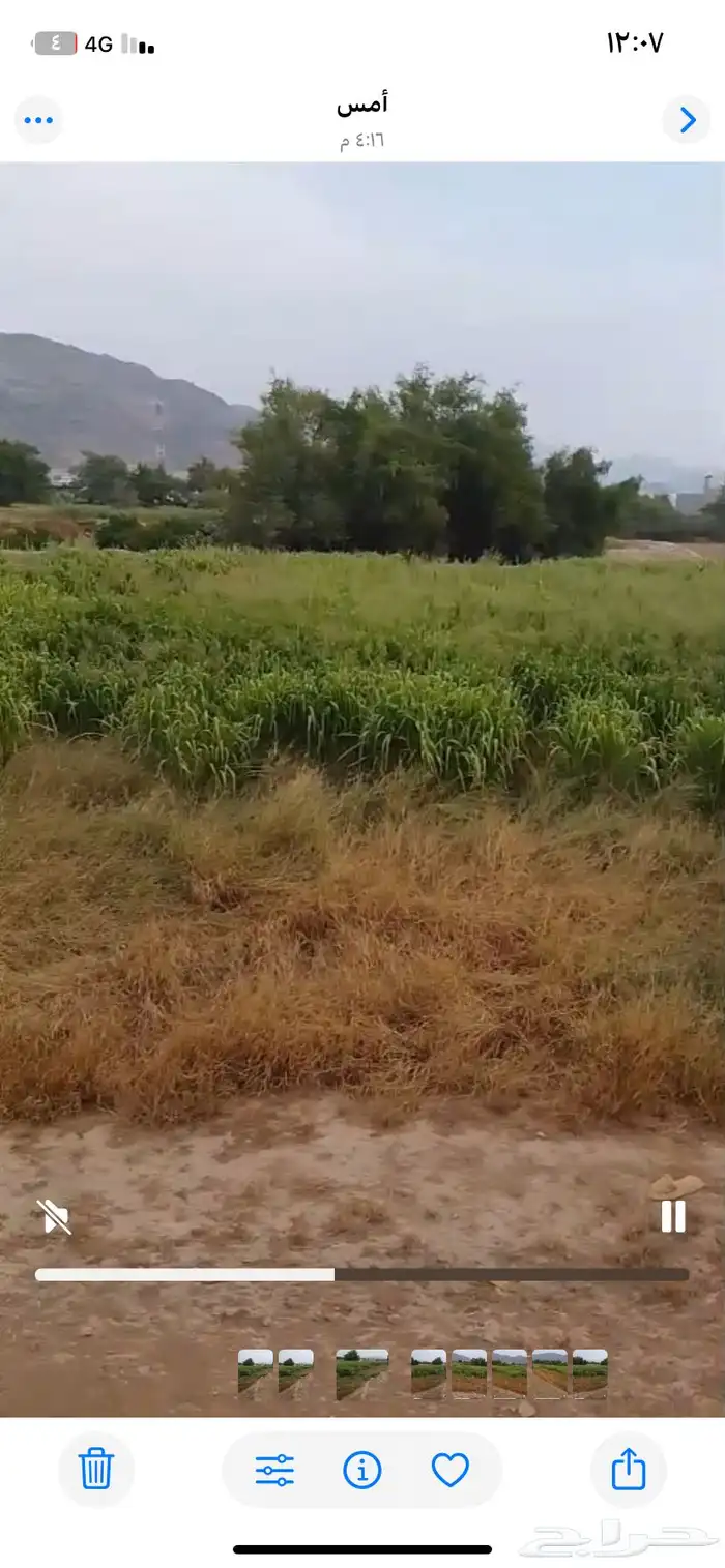 بنيكام االغنام والمواشي مزرعه كامله للبيع التوصيل على مشتري 1