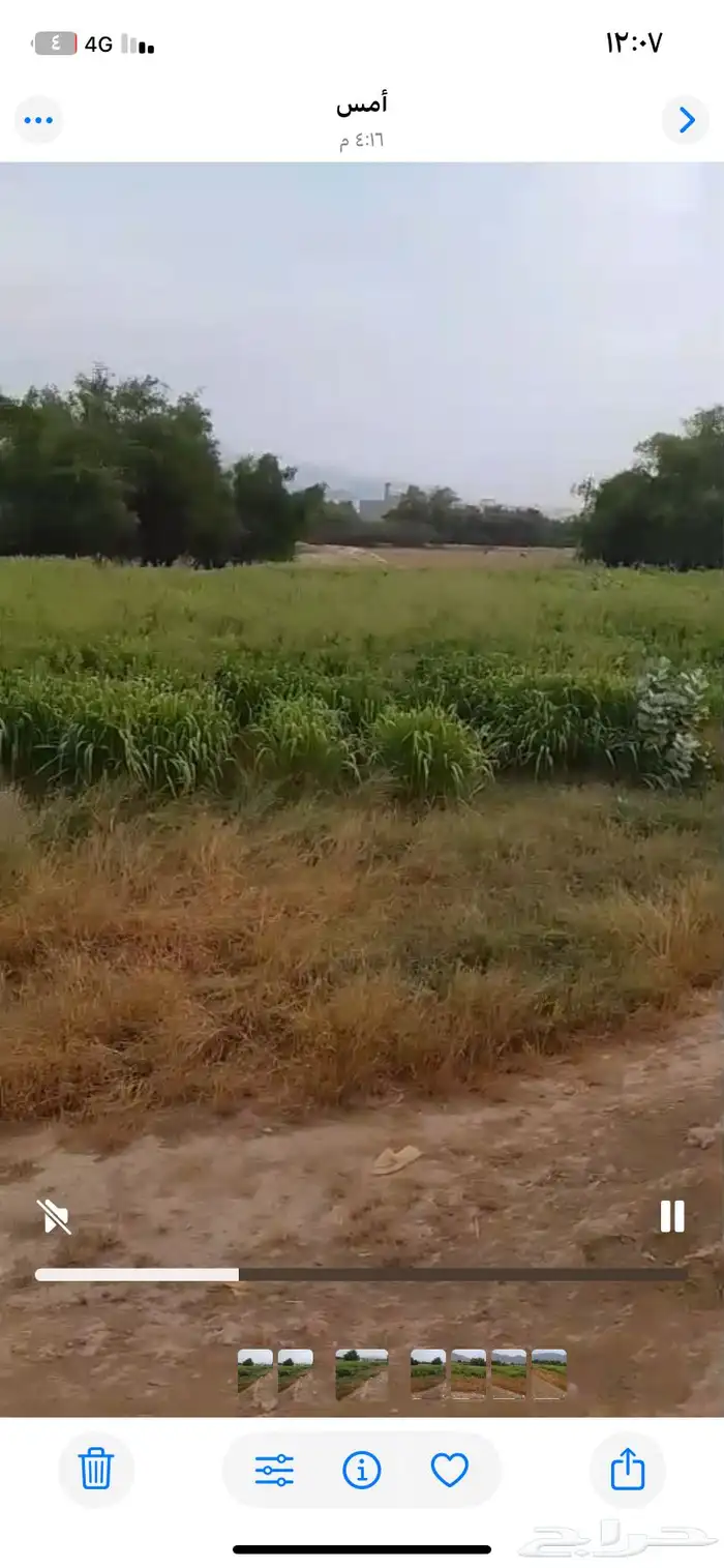 بنيكام االغنام والمواشي مزرعه كامله للبيع التوصيل على مشتري 2