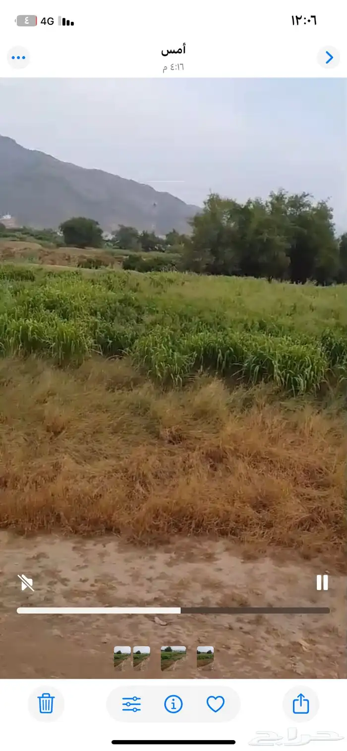 بنيكام االغنام والمواشي مزرعه كامله للبيع التوصيل على مشتري 3