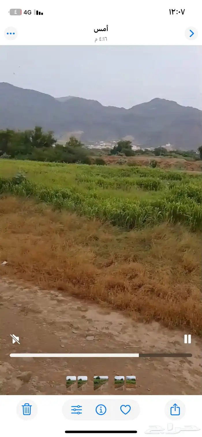 بنيكام االغنام والمواشي مزرعه كامله للبيع التوصيل على مشتري 4