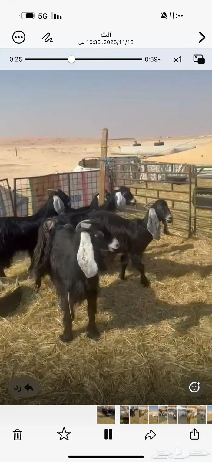 معزا عوارض 4