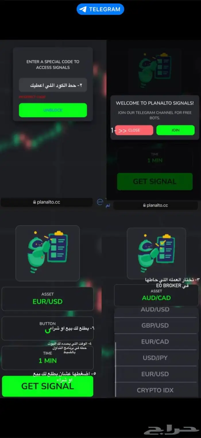 بوت ات تداول 0