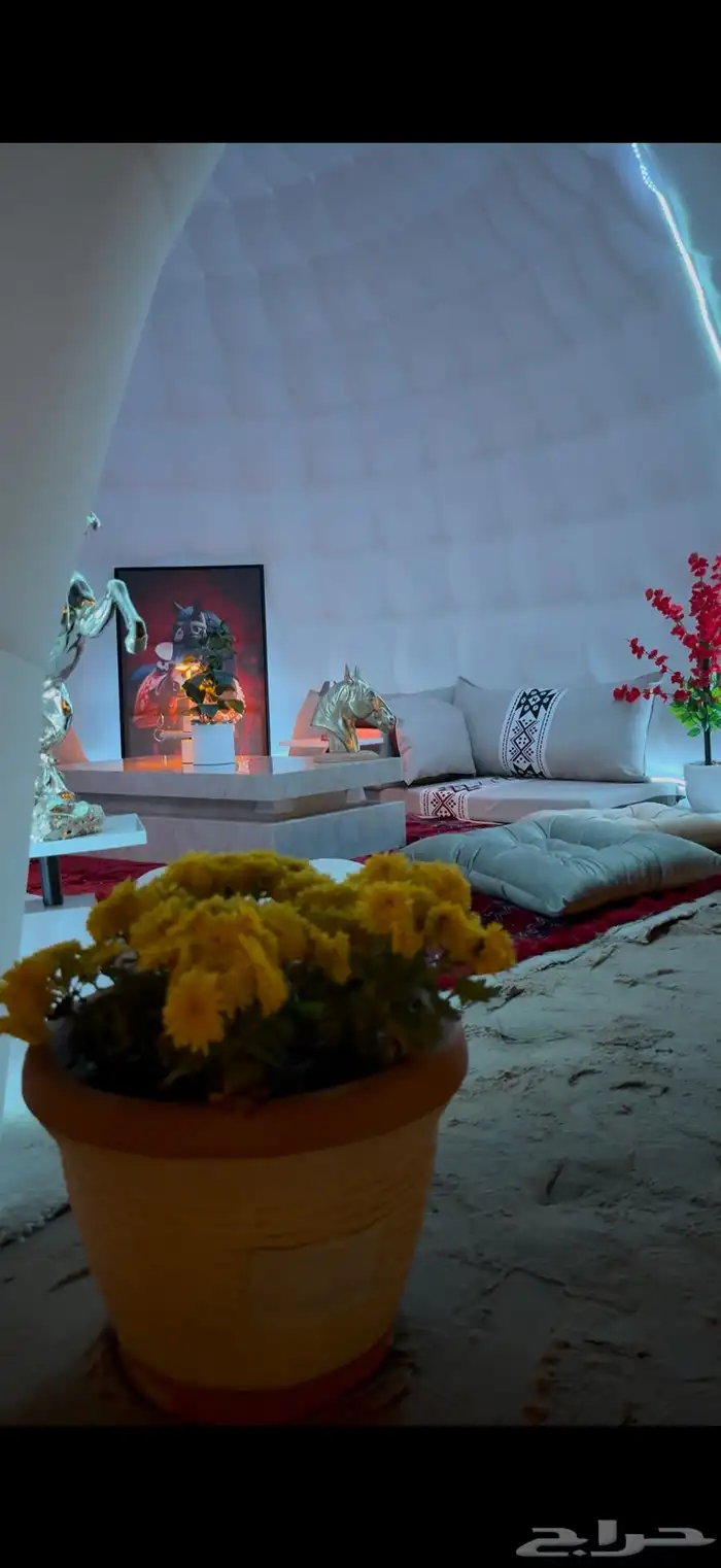 مخيم للإيجار 6