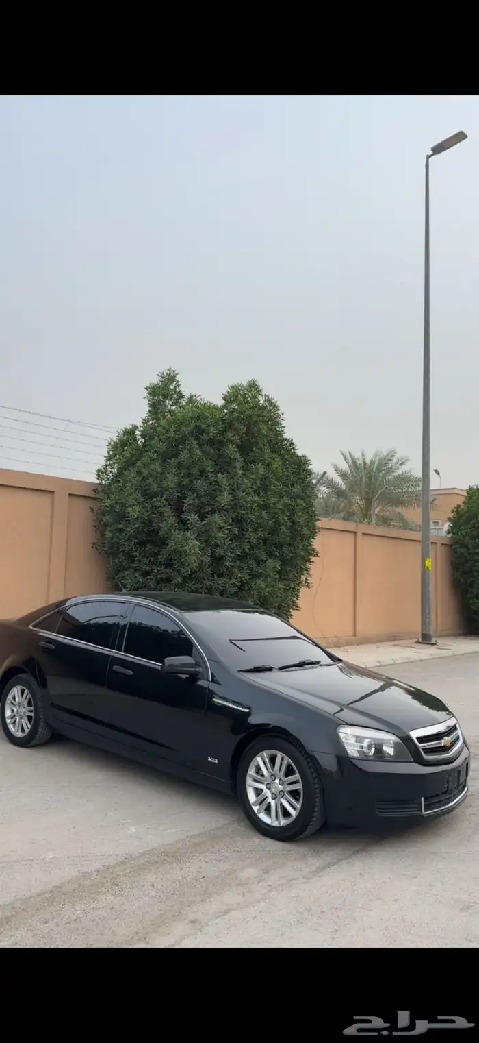 كابرس 2013 ممشى155 اسود 45