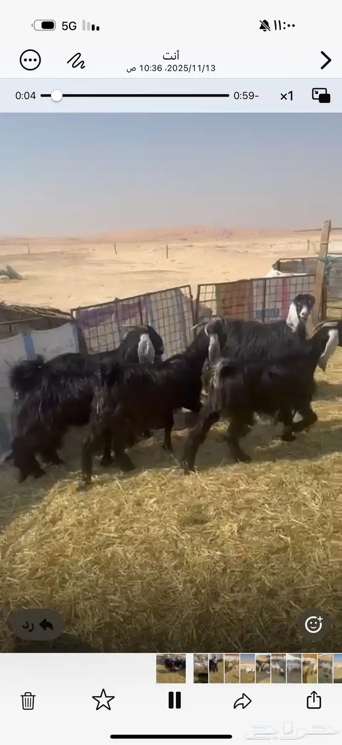 معزا عوارض 5