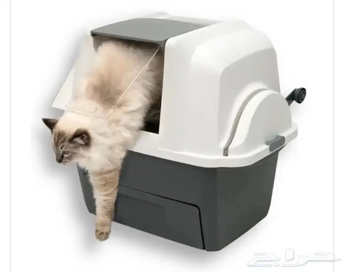 مستلزمات قطط 1