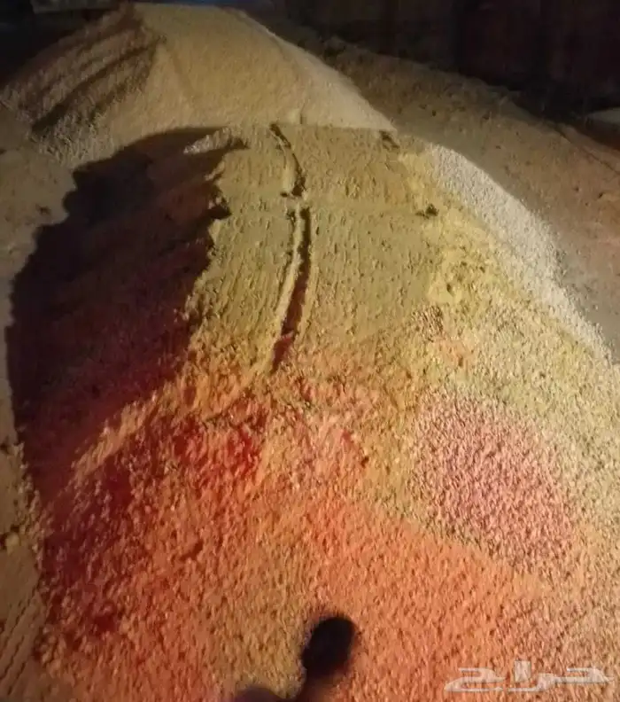 دف ان صبيز كساره 4