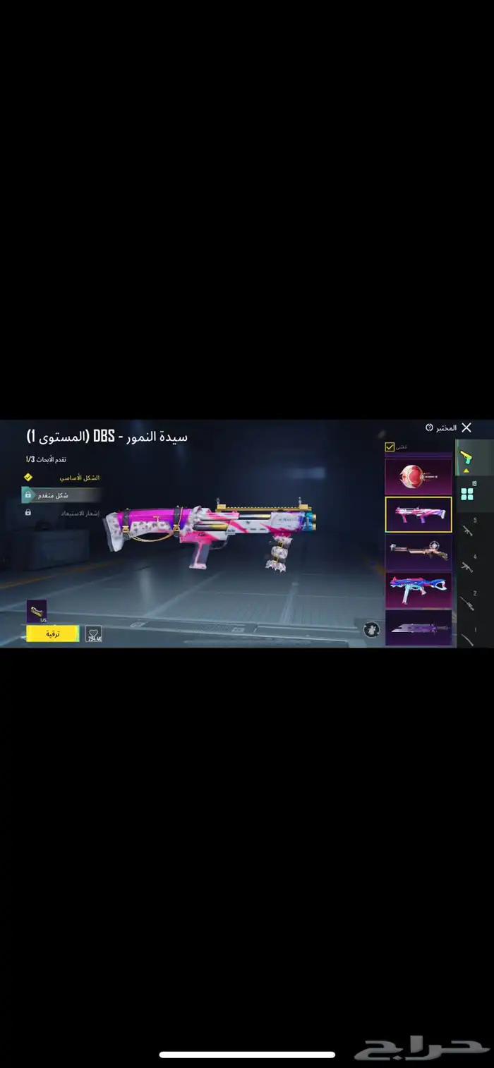 حساب ببجي للبيع 8