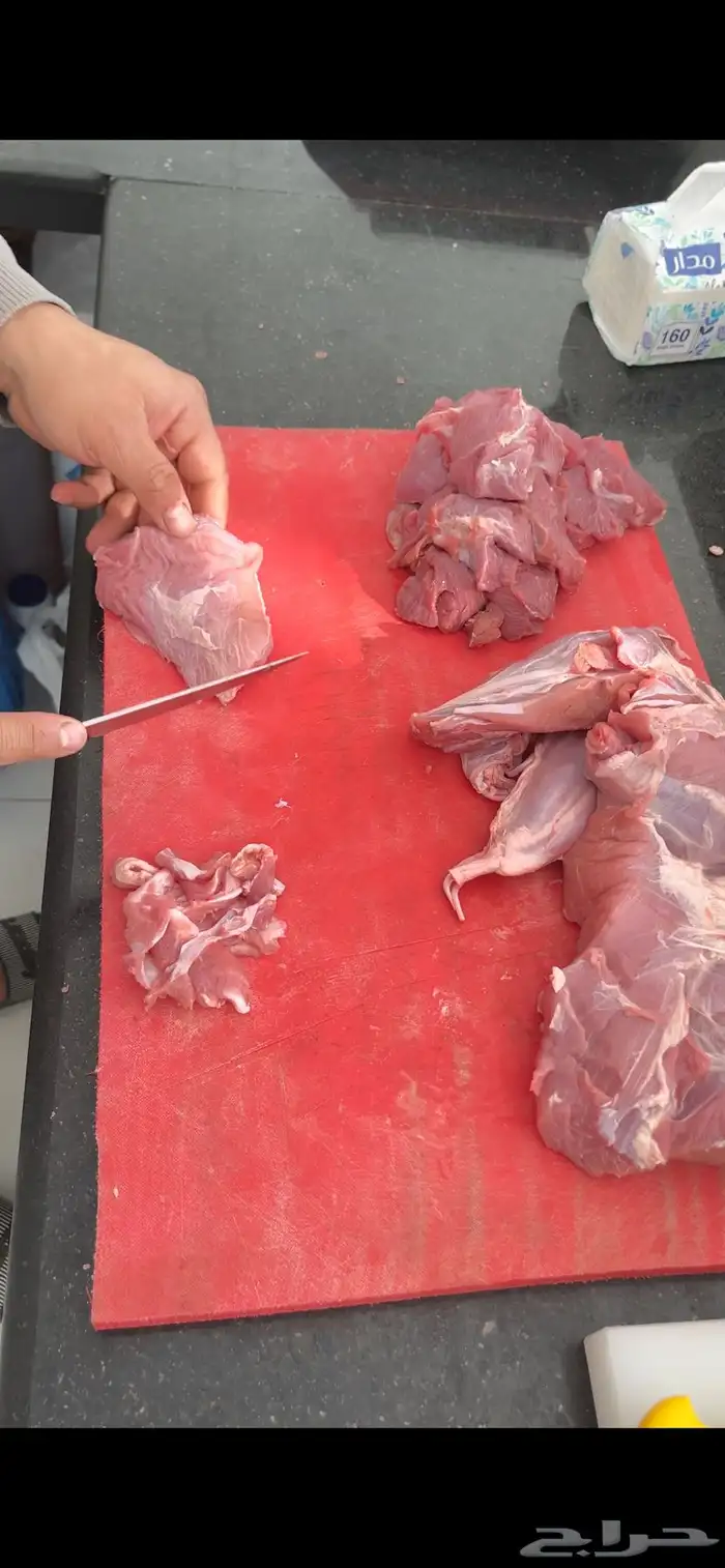 لحوم طازجة بانتظارك في ملحمة الصالحة لأجود أنواع اللحوم 11