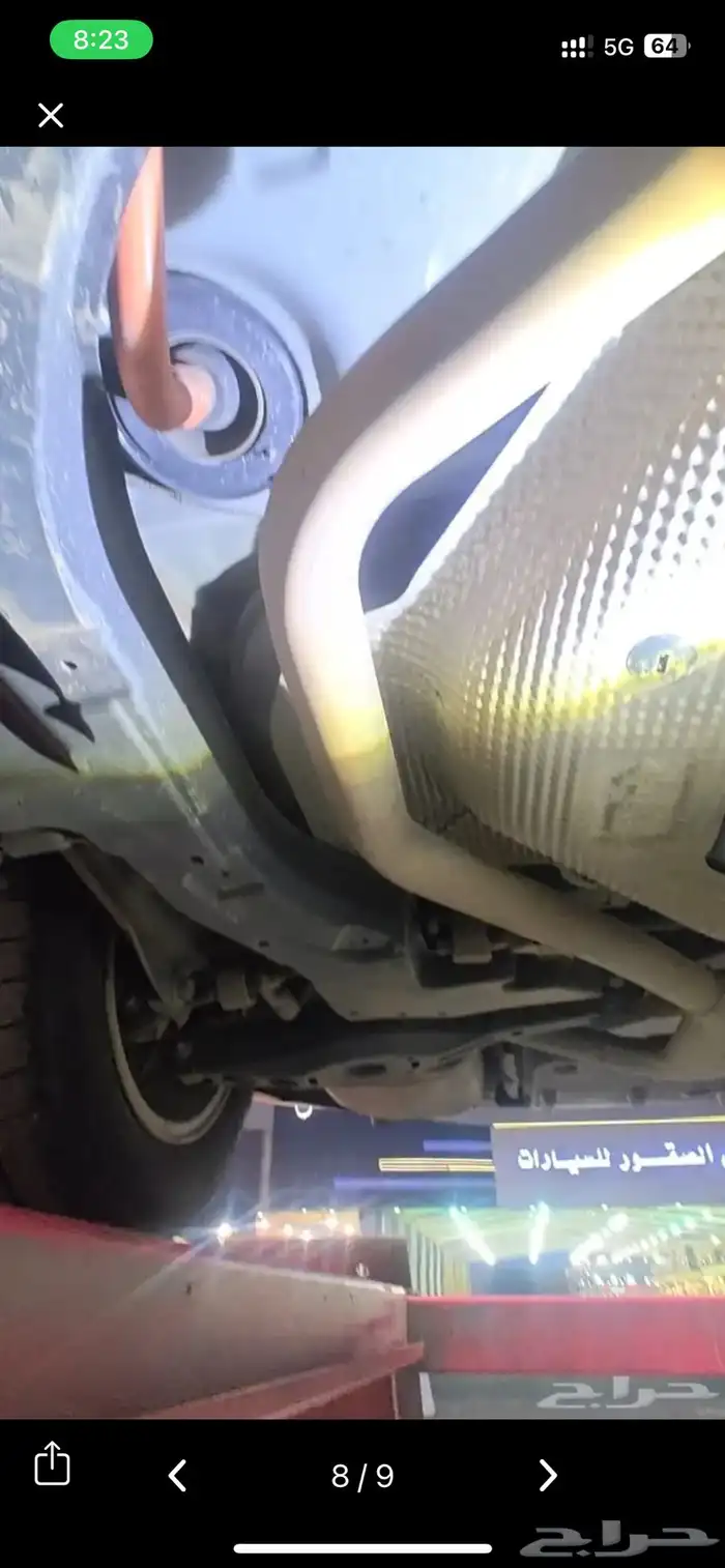 كوريلا هايبرد 2023 6