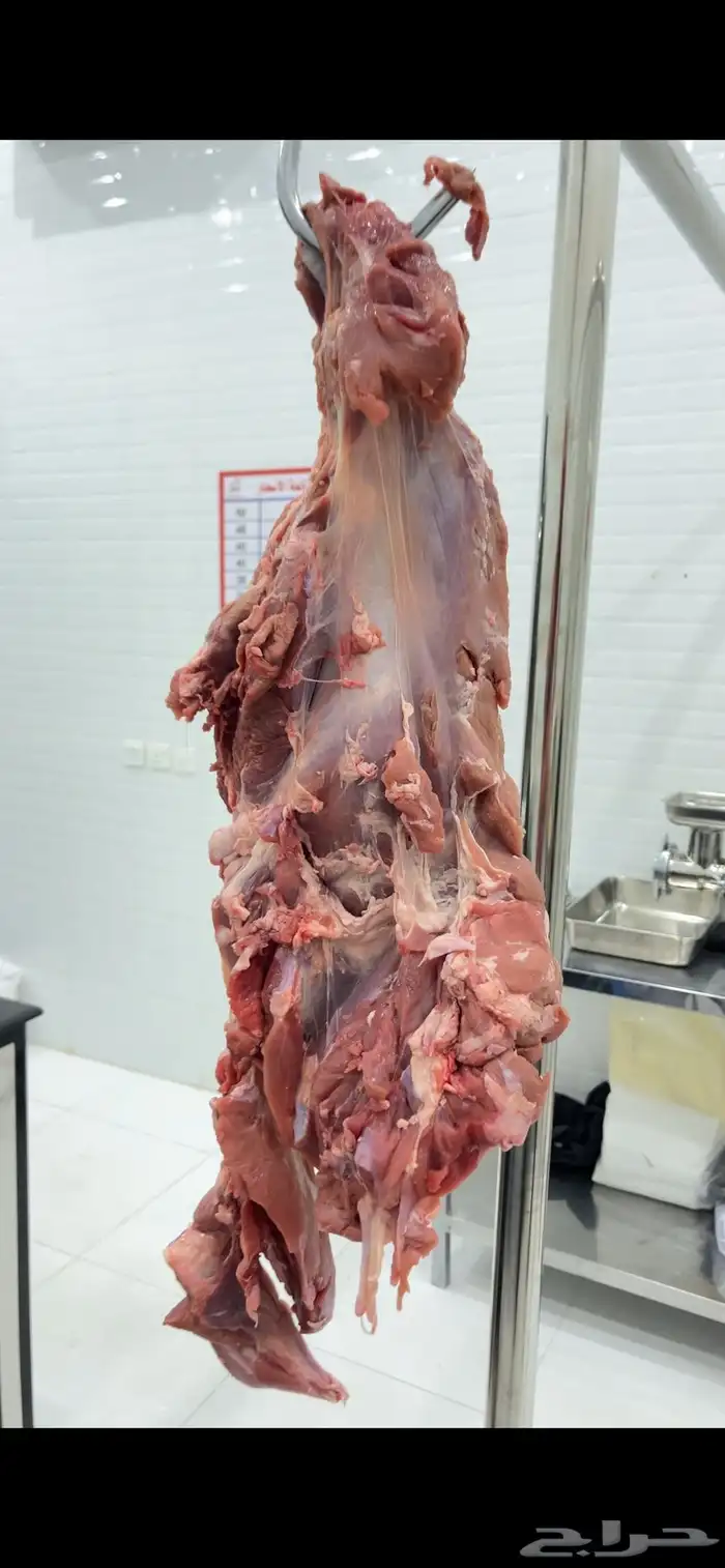 لحوم طازجة بانتظارك في ملحمة الصالحة لأجود أنواع اللحوم 7