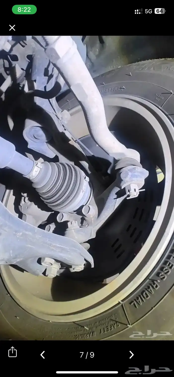 كوريلا هايبرد 2023 7