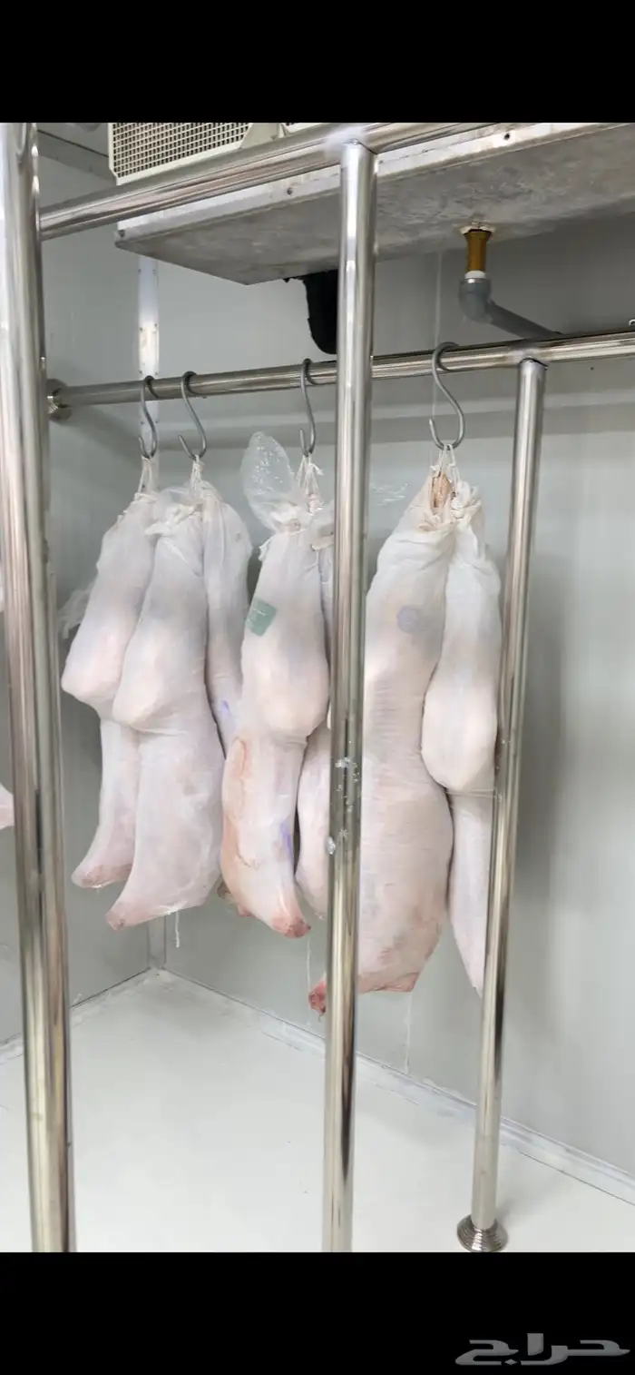 لحوم طازجة بانتظارك في ملحمة الصالحة لأجود أنواع اللحوم 4