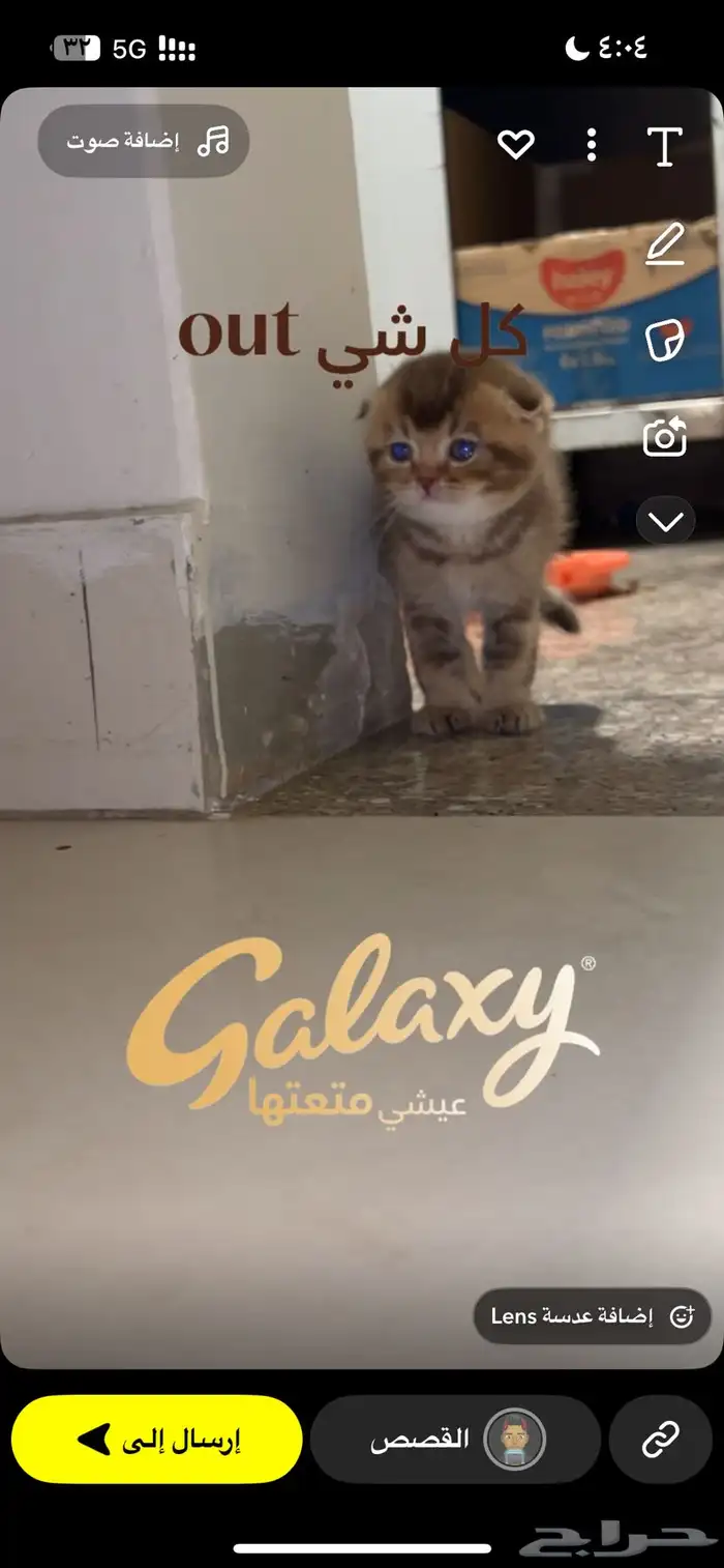 كيتن سكوتش دبل فولد 0