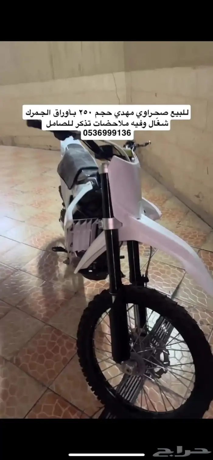 دباب صحراوي مهدي 0