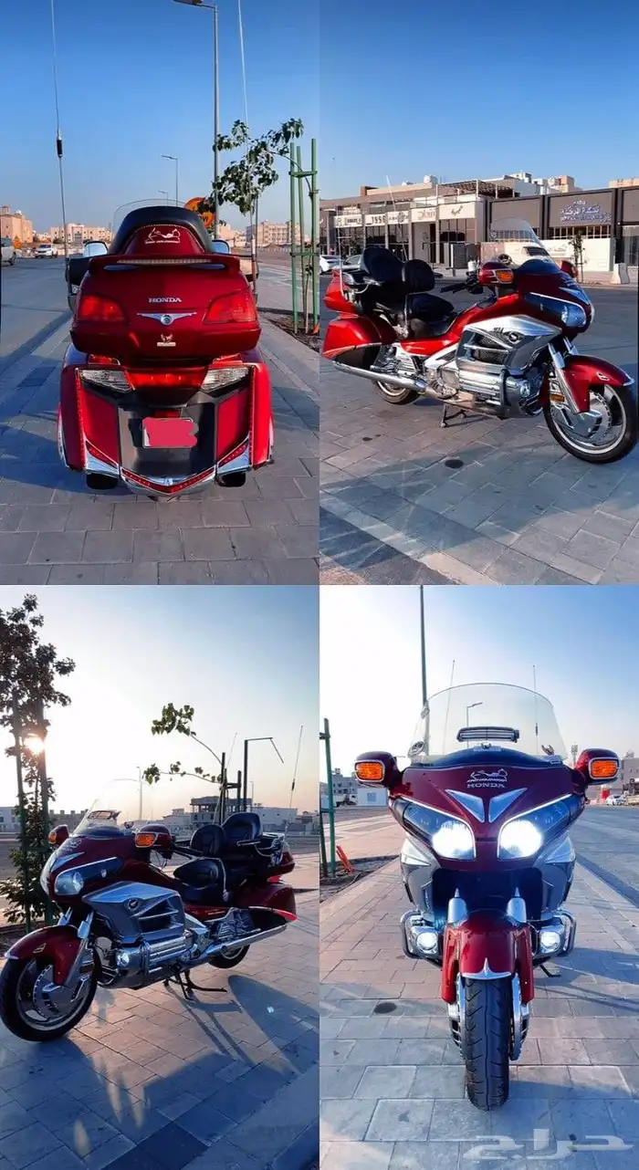 رحال قولد وينق 2012 14