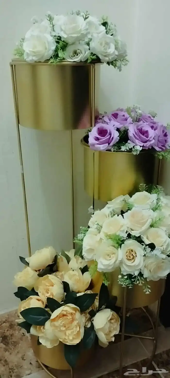 ستاند.ورود 1