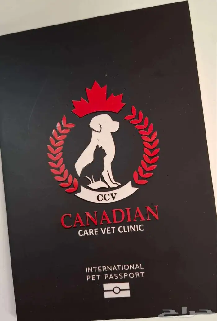 للبيع قط سكوتش ستريت وكيتن تربل فولد 10