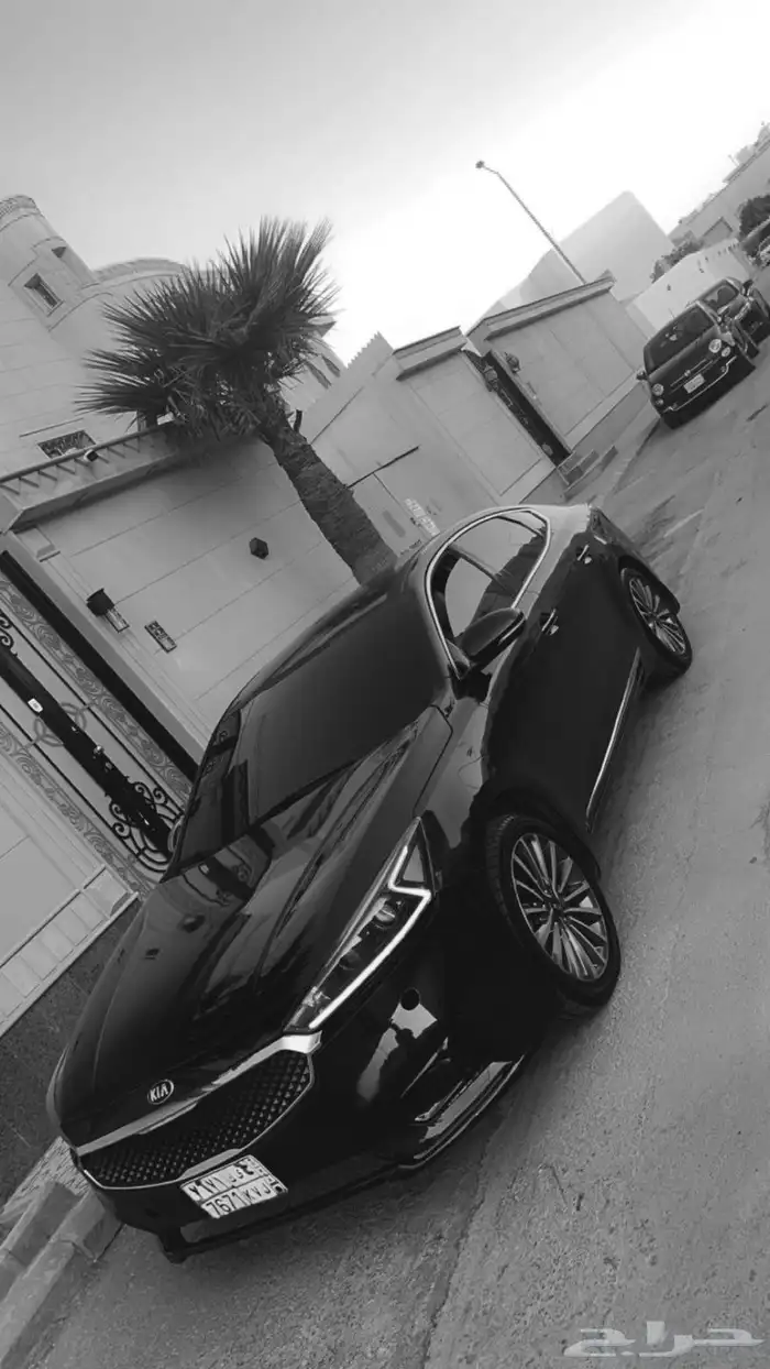 كادينزا 2017 ممشا ماجا 300 الف الموتر فيه حكوك الموتر 0