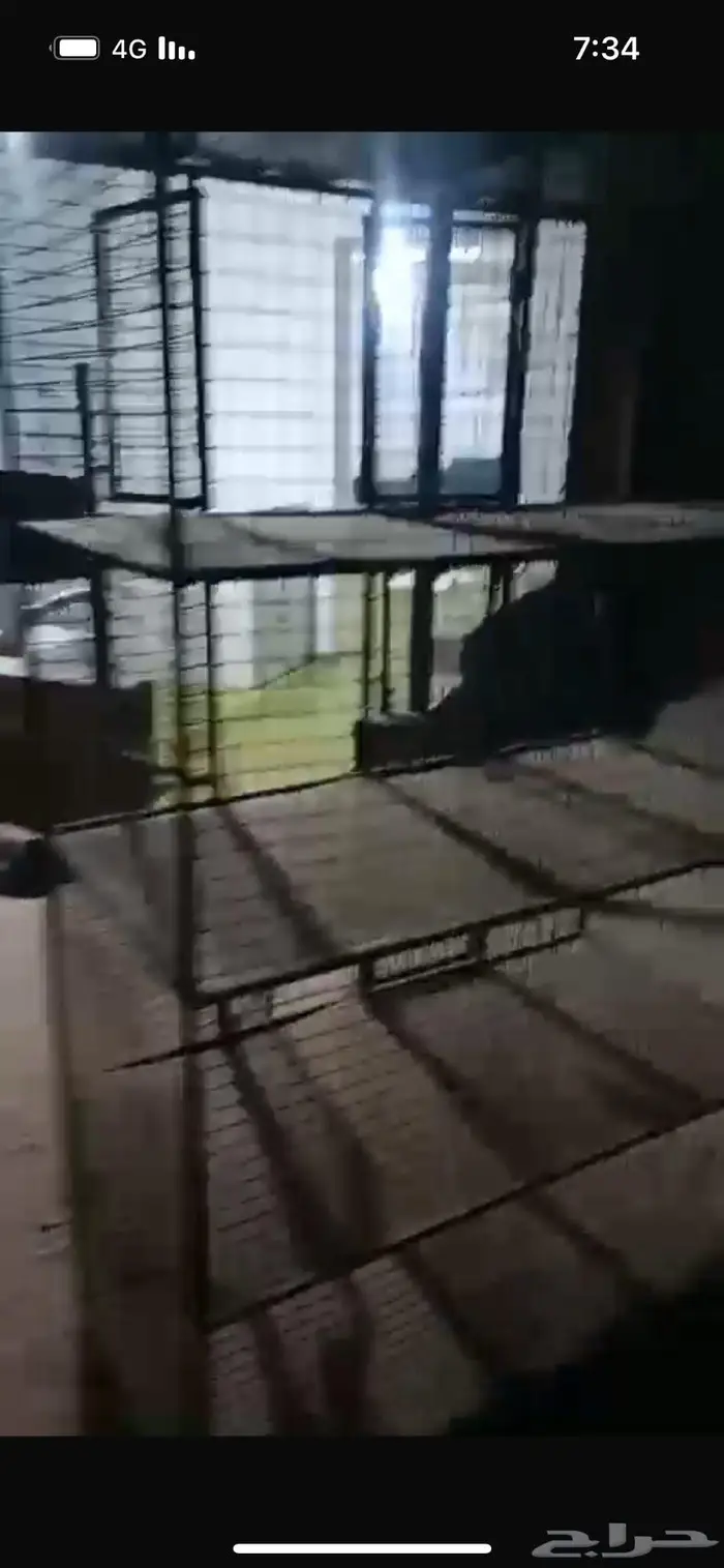 محاكر طيور وحمام للبيع 0