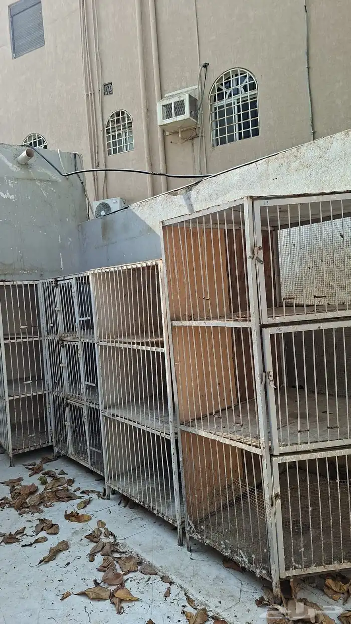 اقفاص حمام 3