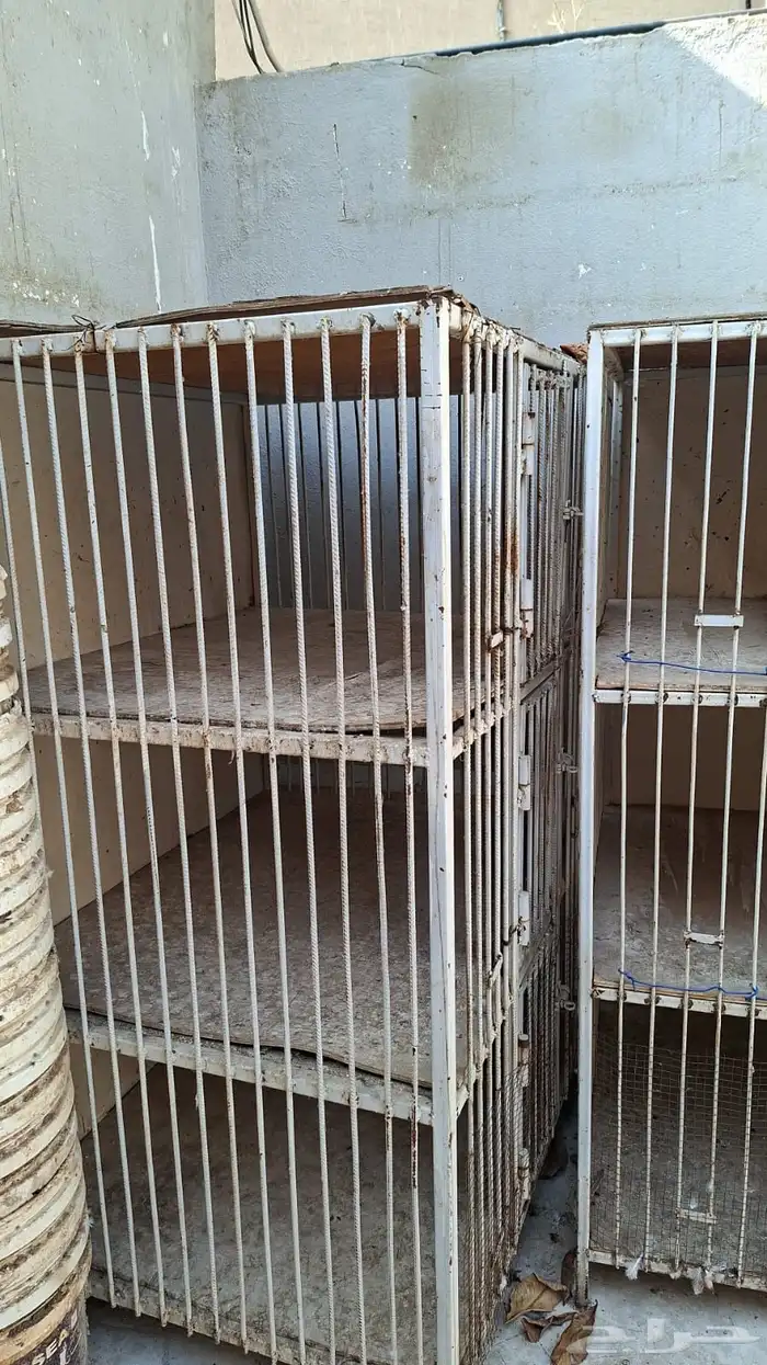 اقفاص حمام 1